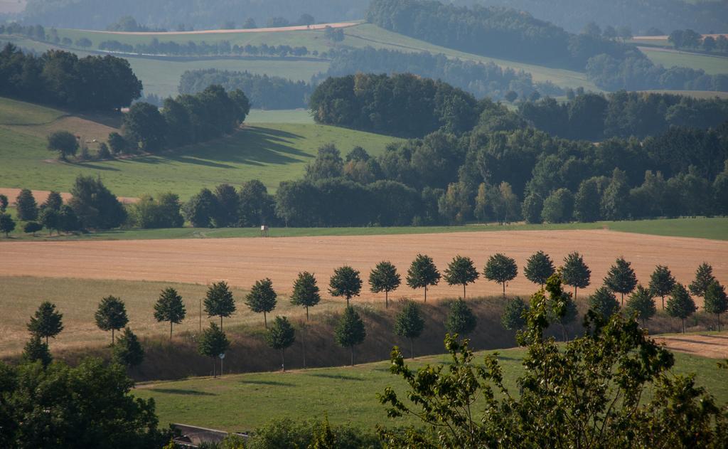 Landgasthof Dittersdorfer Hoehe Amtsberg Exterior foto